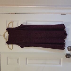 Ann Taylor Sleeveless Lace Dress